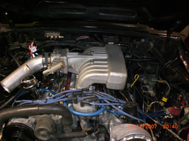 DSC00982.webp