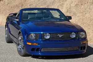 mustang web-1.webp