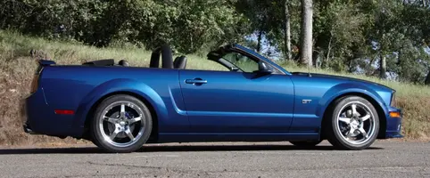 mustang web-4.webp