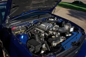 mustang web-3.webp