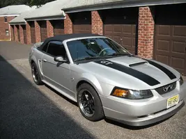 Selling Mustang 090.webp