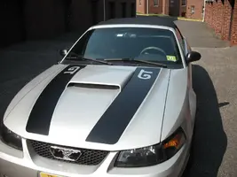 Selling Mustang 091.webp