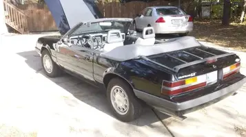 mustang1.webp