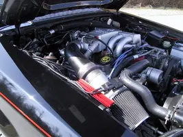 whittni and my mustang 007.webp