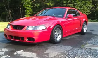 bogarts on my red cobra.webp