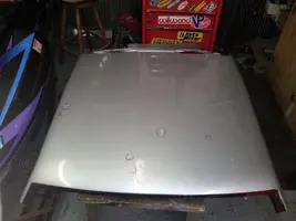new roof.webp