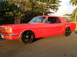Stang Front Side View.webp