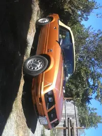 mustang.webp
