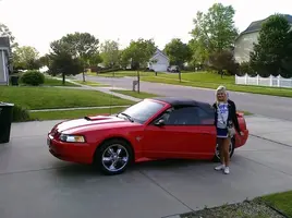 stang.webp