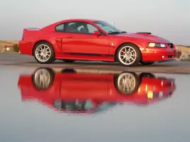 DSCN1493.webp