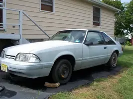 stang009.webp
