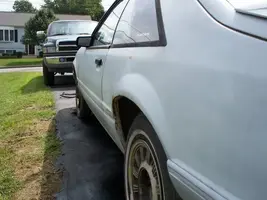 stang006.webp