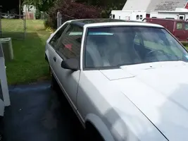 stang013.webp