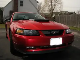 Picture01010.webp