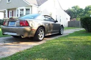 stang003.webp