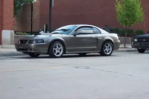 stang001.webp