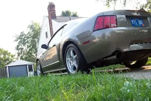 stang006.webp