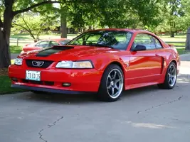 Mustangmay001.webp