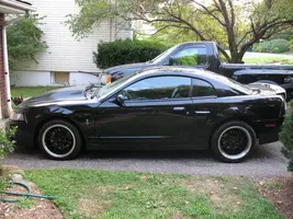 NewCobra001.webp