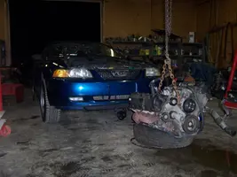 9-08-07%20013.webp