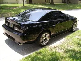 black005.webp