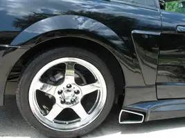 Stang5.webp