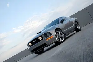 1315946655_1ba9e845b1.webp
