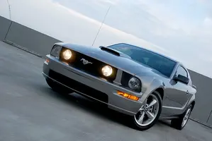 1316745320_50083e1346.webp