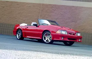9.webp