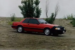 FirstPicture-1.webp
