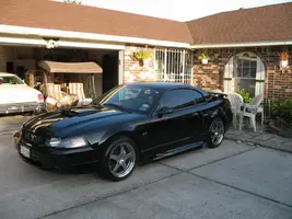 Stang11.webp