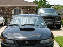 Stang4.webp