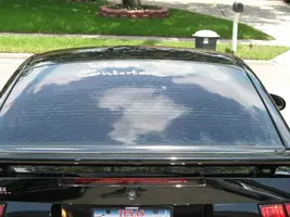 Stang2.webp