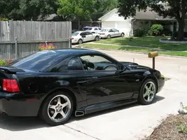 Stang1.webp