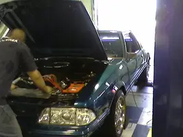 DYNO6.webp