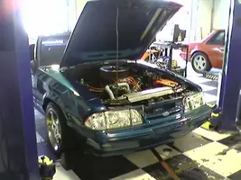 DYNO3.webp