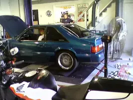 DYNO1.webp