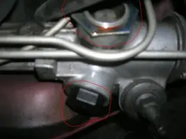 DSCN2799.webp