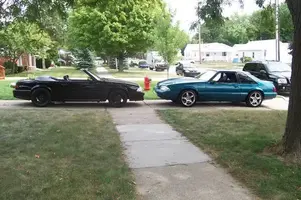 stangs8.webp
