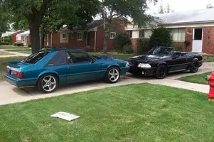 stangs2.webp
