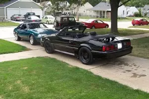 stangs7.webp