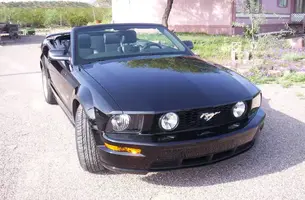 100_9567.webp
