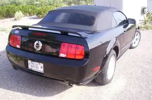 100_9565.webp