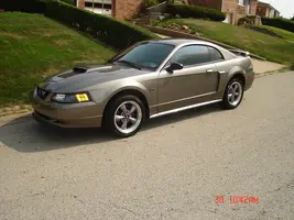Picture006.webp
