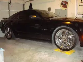 dmaxstang1.webp