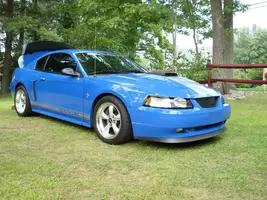Mustangconn.007.webp