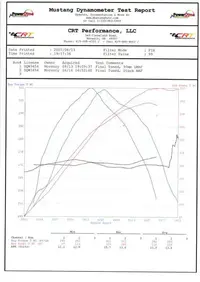 dyno2.webp
