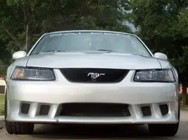 MySaleenAug2007038.webp