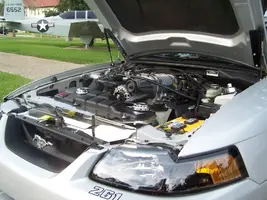 MySaleenAug2007084.webp