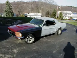 010418mustang4-18-01.webp